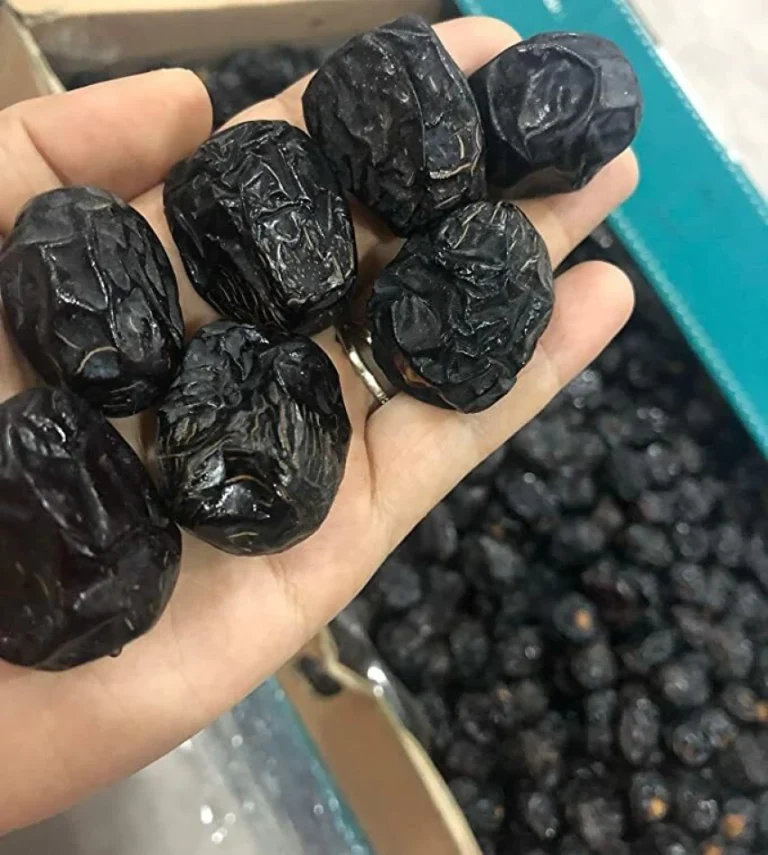 Kurma Nabi