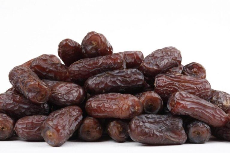 kurma supplier